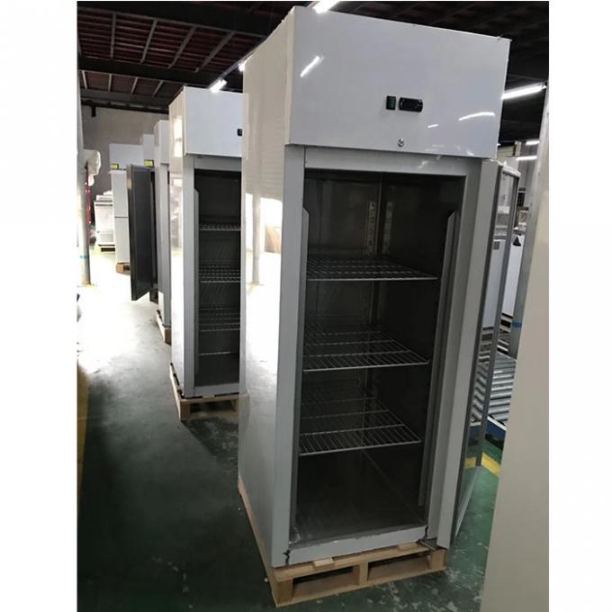 congélateur de réfrigérateur simple de porte de 600*800*2000mm pour l'hôtel 2