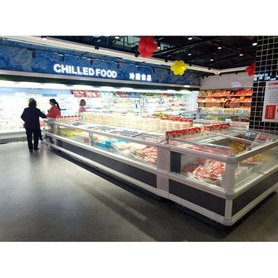 équipements de réfrigération du supermarché 440L pour les aliments surgelés