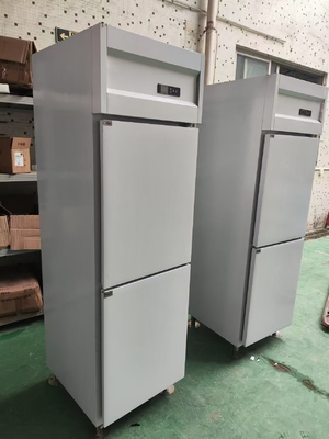 Réfrigérateur vertical commercial Réfrigérateur de cuisine personnalisé avec 120V/60Hz