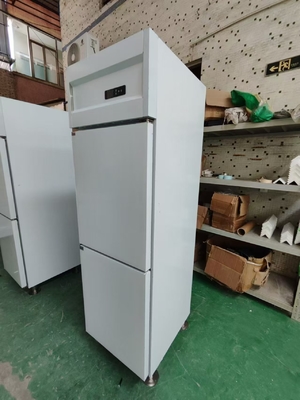 Réfrigérateur vertical commercial Réfrigérateur de cuisine personnalisé avec 120V/60Hz