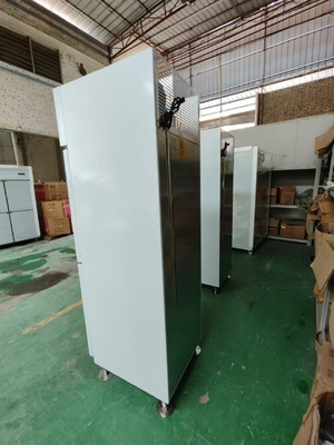 Réfrigérateur vertical commercial Réfrigérateur de cuisine personnalisé avec 120V/60Hz