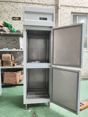 Réfrigérateur vertical commercial Réfrigérateur de cuisine personnalisé avec 120V/60Hz