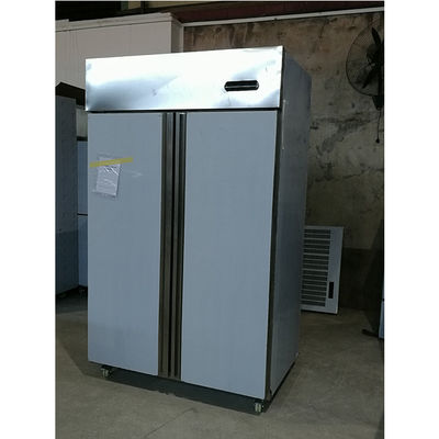 Congélateur commercial d'acier inoxydable de porte à deux battants de Yxfridge
