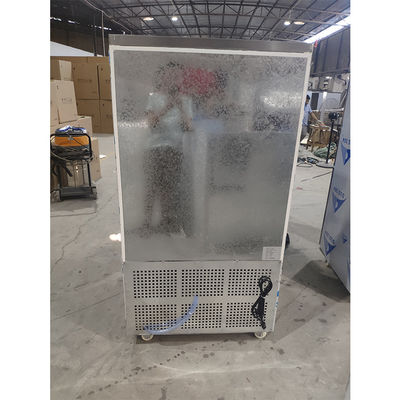 110V 60Hz 2400W 10 filtre le refroidissement commercial de fan de congélateur à air forcé