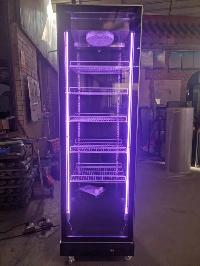 R290 réfrigérateur vertical à porte unique, réfrigérateur commercial à affichage de boissons 1