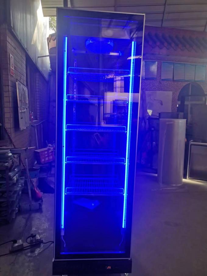 R290 réfrigérateur vertical à porte unique, réfrigérateur commercial à affichage de boissons 2