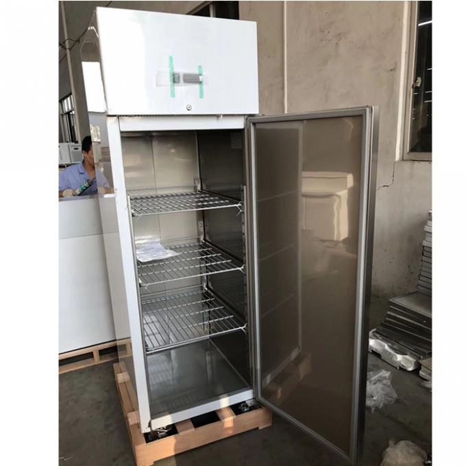 Congélateur de réfrigérateur commercial d'acier inoxydable de la CE 250W 1